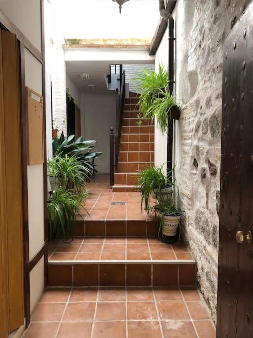 Apartamento Coqueto En Pleno Casco Antiguo Lägenhet Toledo Exteriör bild